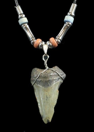 Fossil Megalodon Tooth Necklace #43066